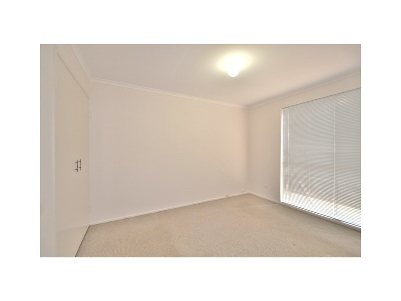 81 Anchusa Street, Kingston QLD 4114