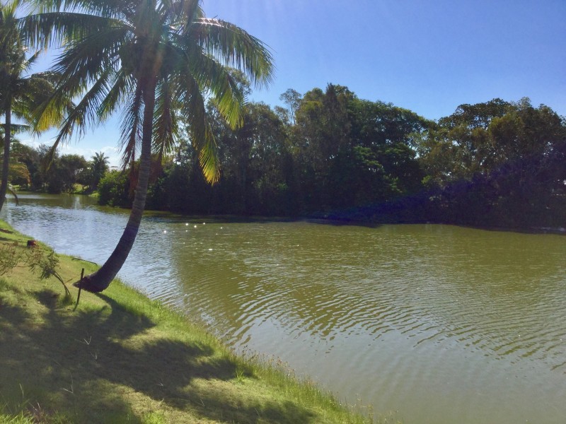31 Lido Parade, Urangan QLD 4655