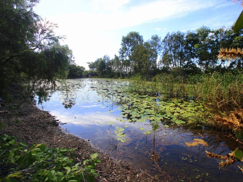 15 Parkview Street, Wondunna QLD 4655