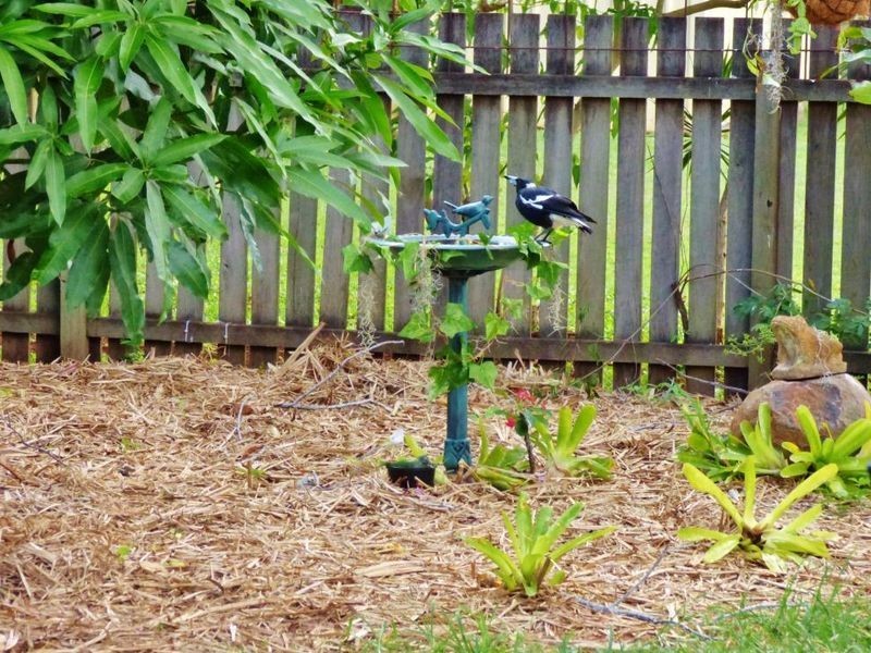 84 Crawford Drive, Dundowran QLD 4655