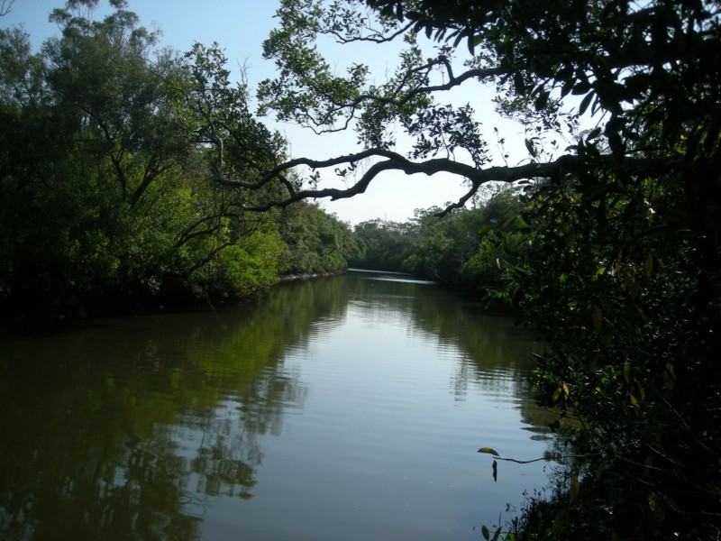 86 Pacific Haven Circuit, Pacific Haven QLD 4659