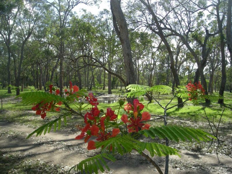 86 Pacific Haven Circuit, Pacific Haven QLD 4659