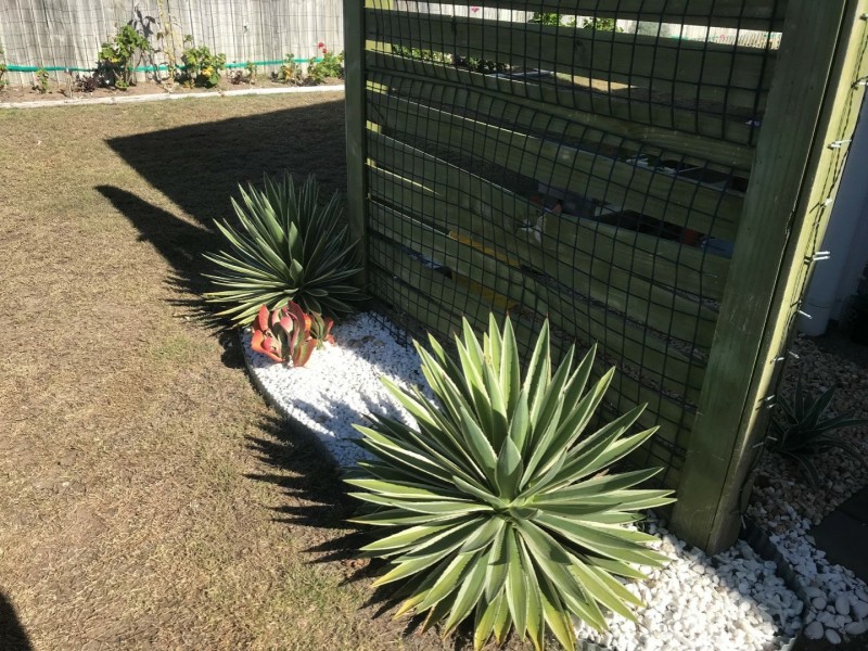 Unit 2/5 Seaway Parade, Toogoom QLD 4655