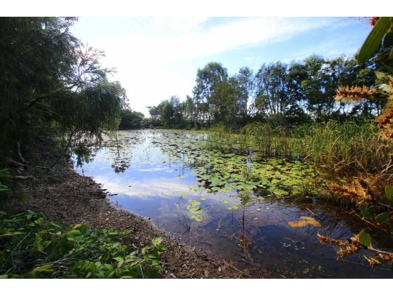 15 Parkview Street, Wondunna QLD 4655