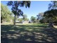 Urangan QLD 4655