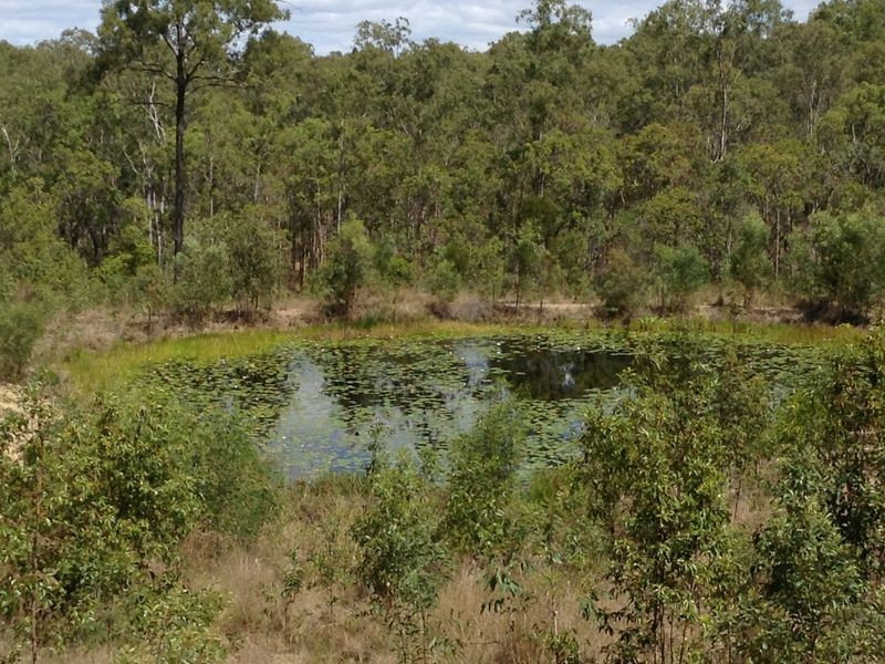 1415 Hills Road, Euleilah QLD 4674