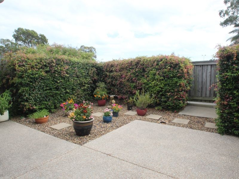 8/29 Stephenson Street, Pialba QLD 4655