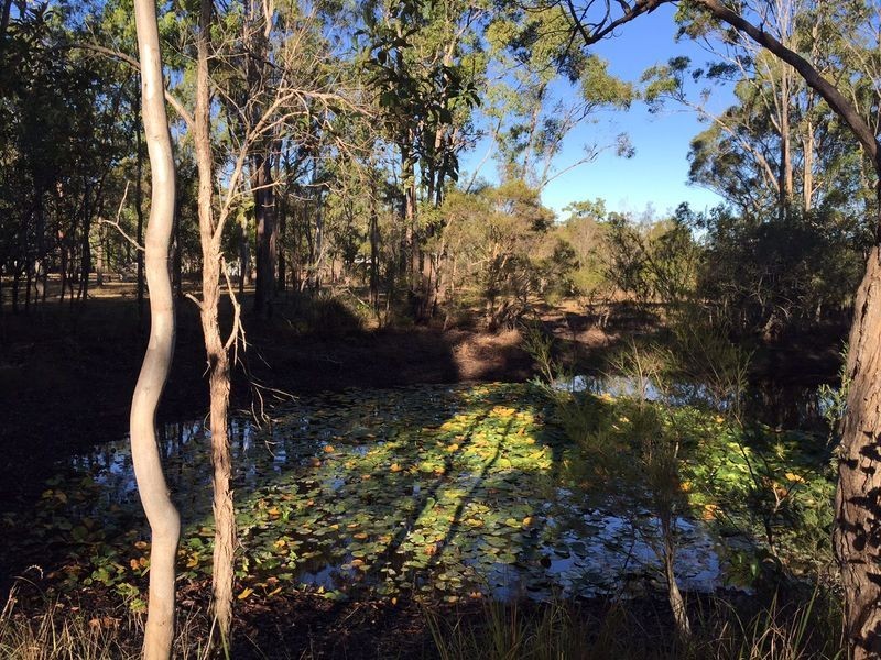 611 Toogoom Road, Burrum Heads QLD 4659