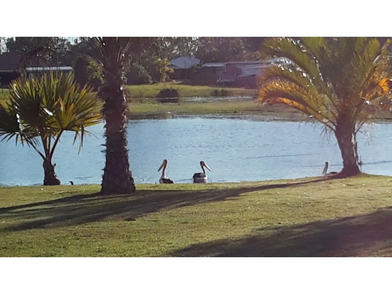 3 Avery Ct, Booral QLD 4655