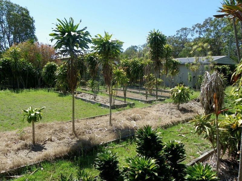 41 Ross Street, Burrum Heads QLD 4659