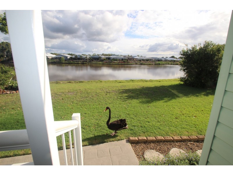 Lot 36 Willow Court,/14 Ibis Boulevard (Hazelmere Village), Eli Waters QLD 4655