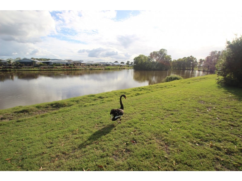Lot 36 Willow Court,/14 Ibis Boulevard (Hazelmere Village), Eli Waters QLD 4655