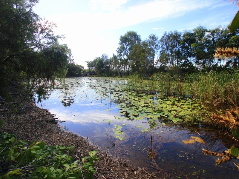 6 Parkview Street, Wondunna QLD 4655