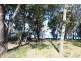 Urangan QLD 4655