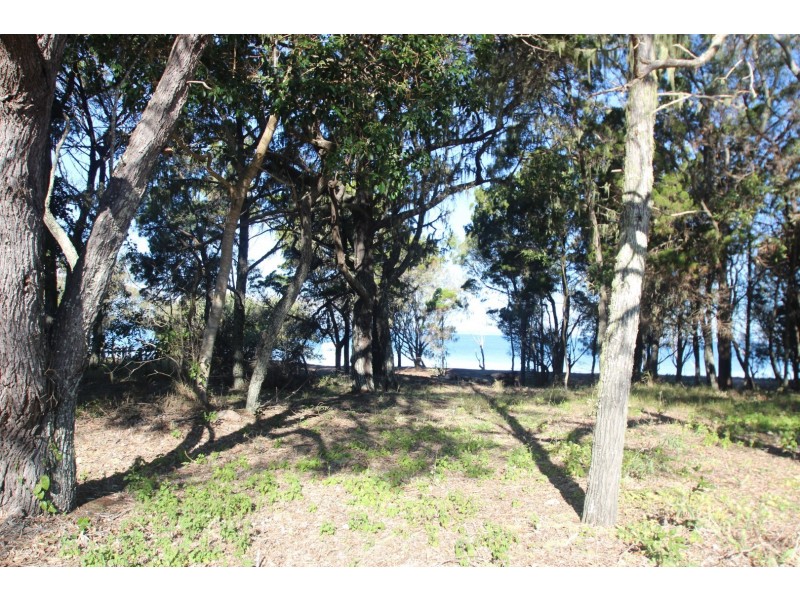 Urangan QLD 4655