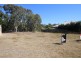 149 Burrum Street, Burrum Heads QLD 4659