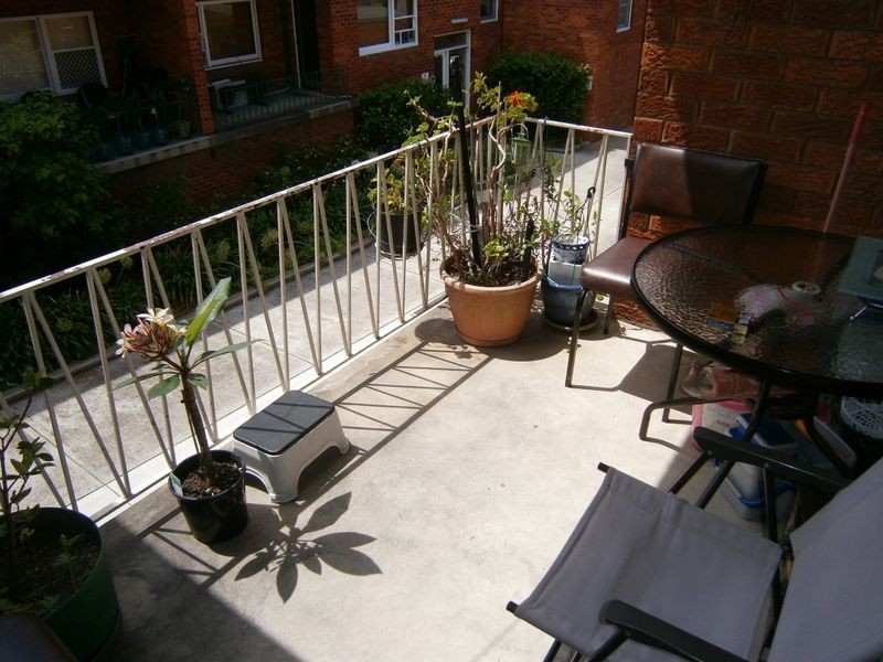 37 Monomeeth Street, Bexley NSW 2207