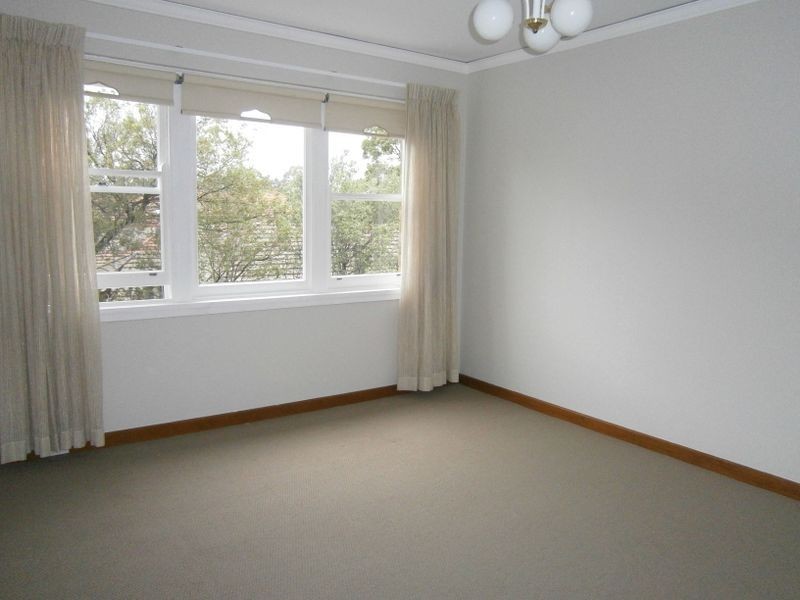 24B Forsyth Street, Willoughby NSW 2068