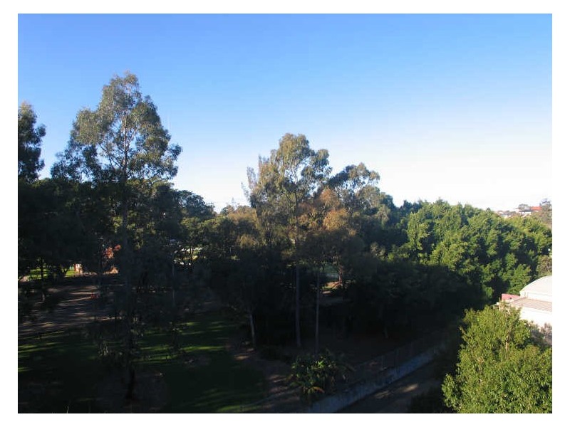 10/292 Princes Highway, Carss Park NSW 2221