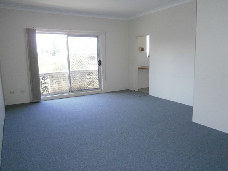 23 Willison Road, Carlton NSW 2218