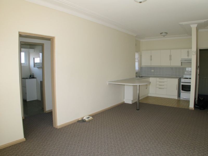 48 Washington Street, Bexley NSW 2207