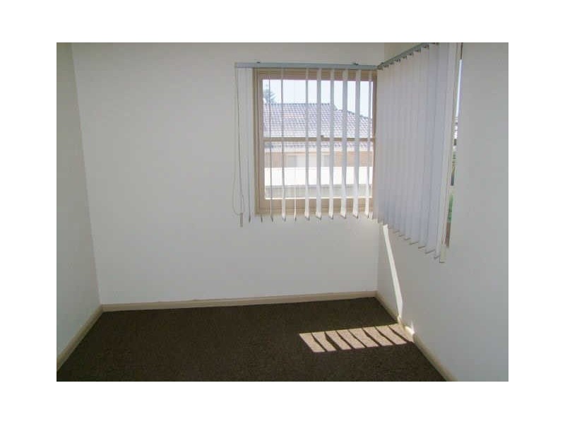 48 Washington Street, Bexley NSW 2207