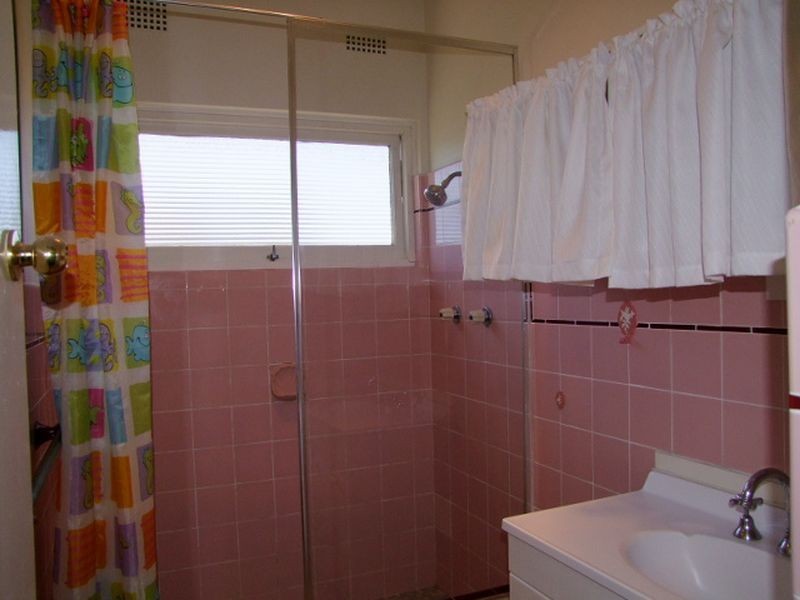 48 Washington Street, Bexley NSW 2207