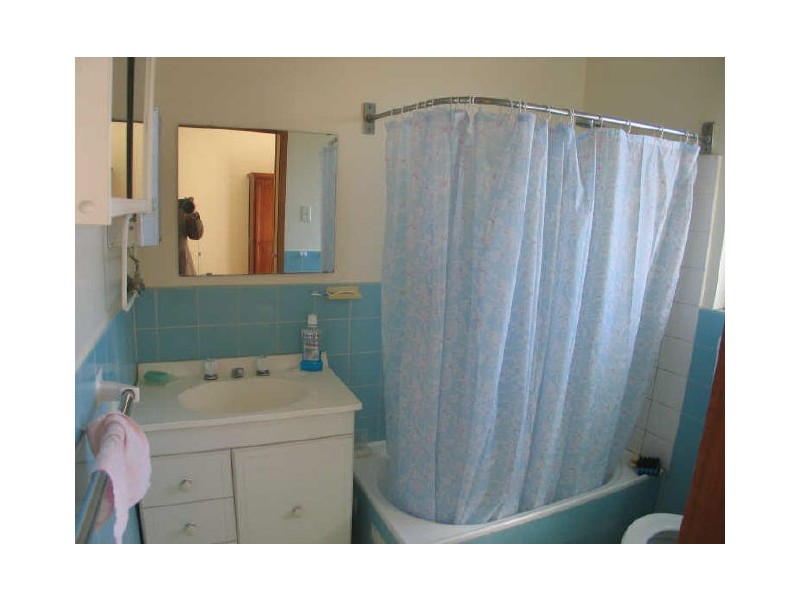 82 Cronulla Street, Carlton NSW 2218