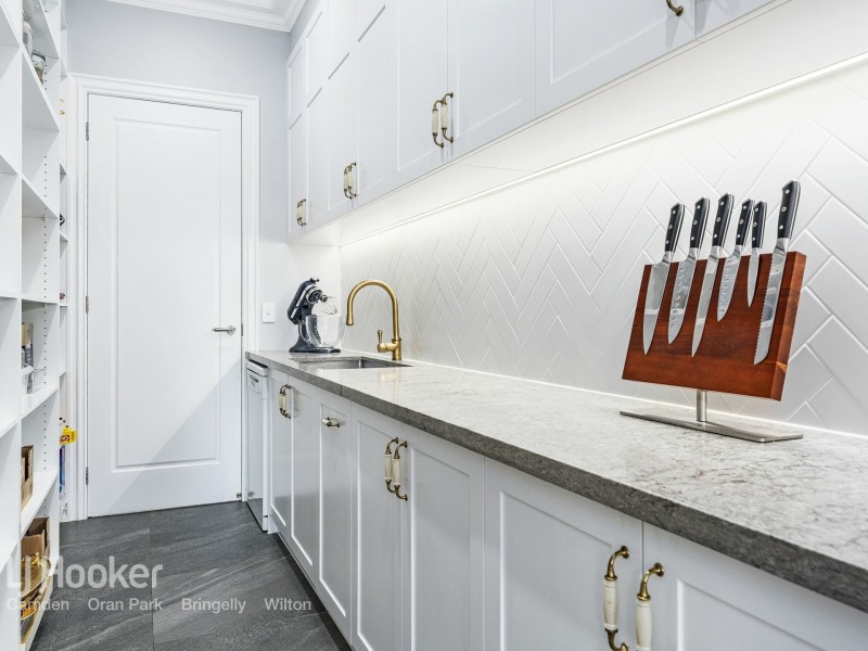 41 Collector Drive, Harrington Park NSW 2567