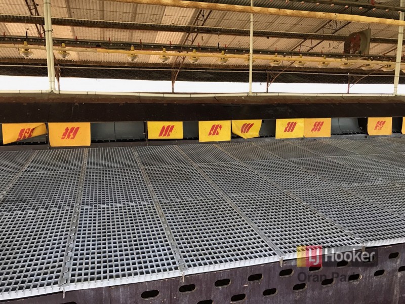 74 Woolgen Park Rd, Leppington NSW 2179