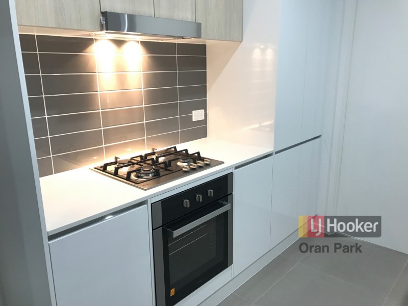 13 Goodluck Circuit, Cobbitty NSW 2570