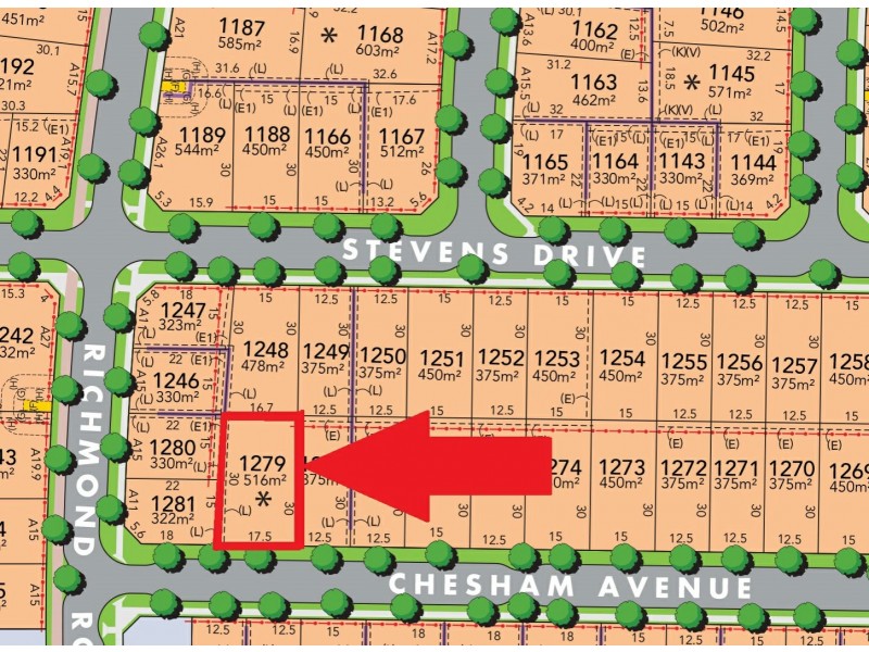 30 Chesham Avenue, Oran Park NSW 2570