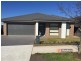 16 Murphy Street, Oran Park NSW 2570