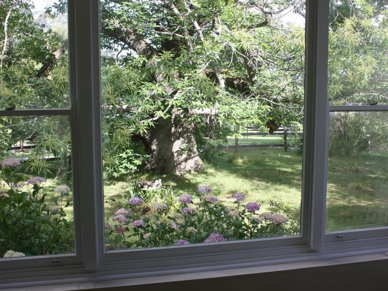 16 Gladstone Road, Bowral NSW 2576