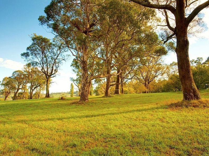 Lot 10 Mansfield Road, Bowral NSW 2576