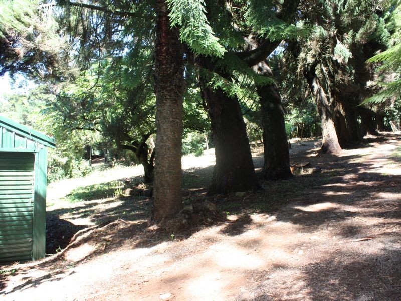 ‘Pinegrove Fountaindale Road, Robertson NSW 2577