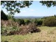 ‘Pinegrove Fountaindale Road, Robertson NSW 2577