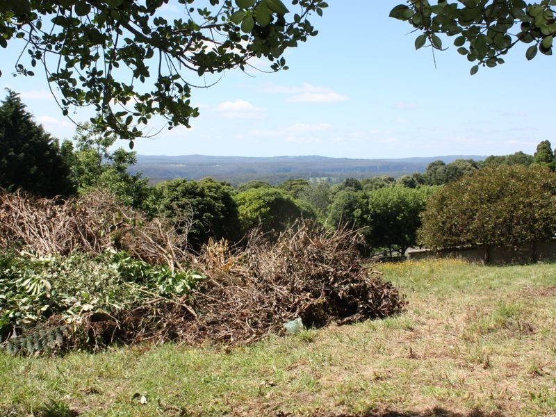 ‘Pinegrove Fountaindale Road, Robertson NSW 2577