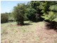 ‘Pinegrove Fountaindale Road, Robertson NSW 2577