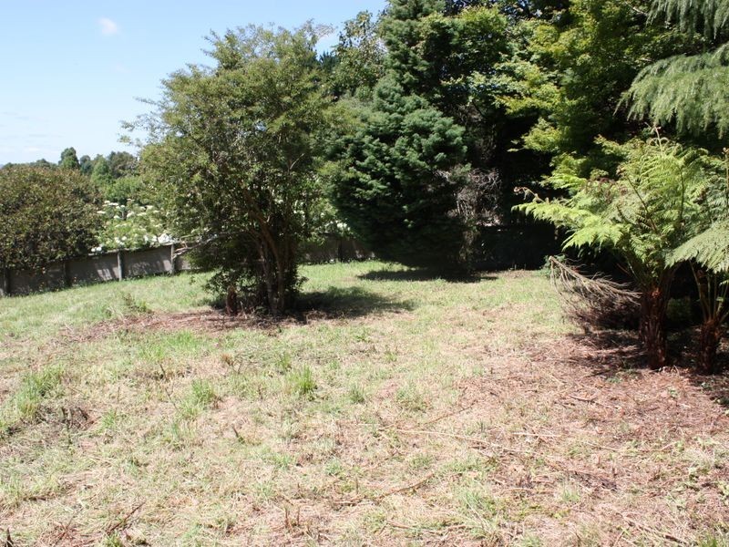 ‘Pinegrove Fountaindale Road, Robertson NSW 2577