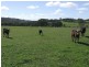 17438 Hume Highway, Towrang NSW 2580