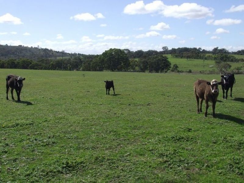 17438 Hume Highway, Towrang NSW 2580