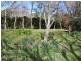 60 Centennial Road, Bowral NSW 2576