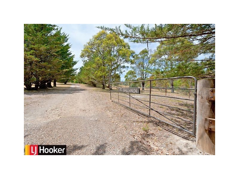 1340 Brayton Road, Big Hill NSW 2579