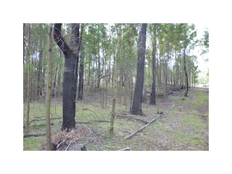 138 Garmoran Valley Road, Big Hill NSW 2579