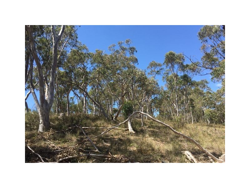 8 Railway Parade, Tallong NSW 2579