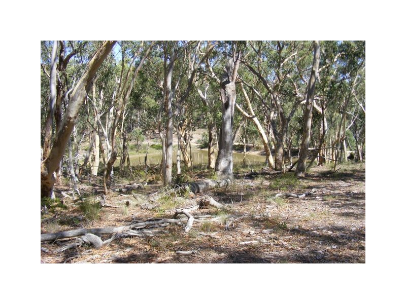 99 Carters Close, Greenwich Park NSW 2580