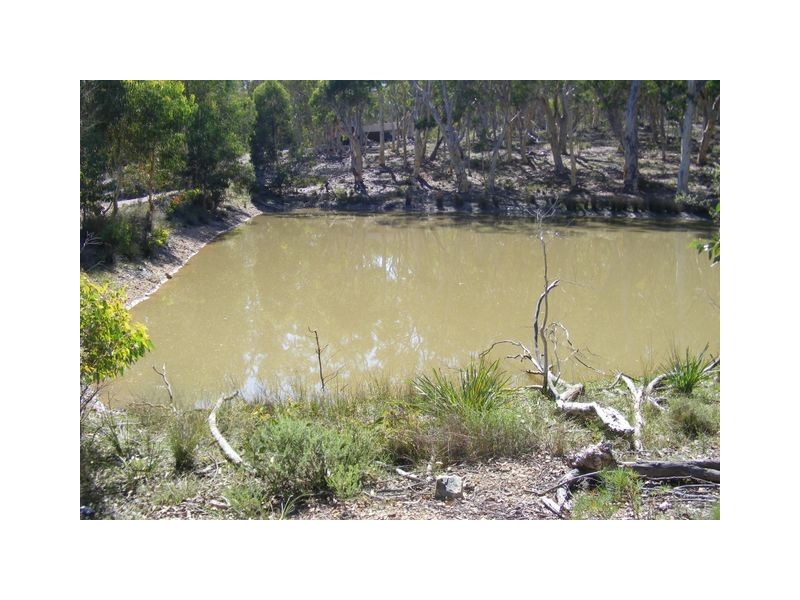 99 Carters Close, Greenwich Park NSW 2580