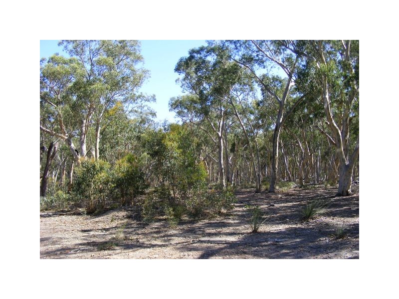 99 Carters Close, Greenwich Park NSW 2580