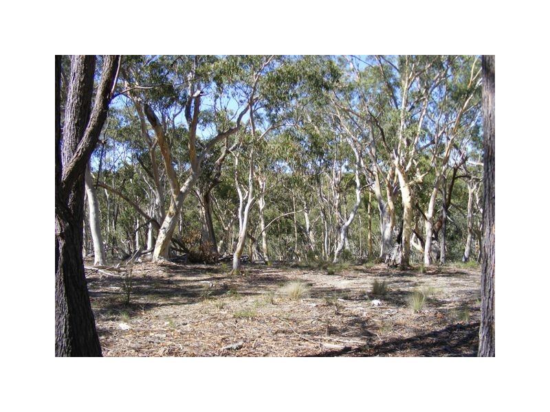 99 Carters Close, Greenwich Park NSW 2580